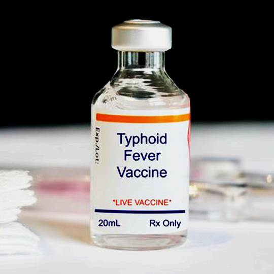 Vaksin Dewasa Hepatitis A & Typhus