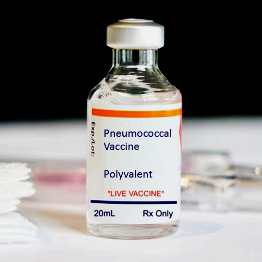 Vaksin DT, Pneumokokus (PCV-10), dan Haemofilus Influenza