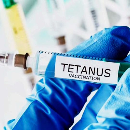 Vaksin Tetanus Toxoid