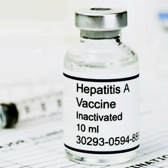 Vaksin Dewasa Hepatitis A & Typhus
